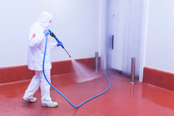 Best Pre-Holiday Cleaning  in Nisswa, MN